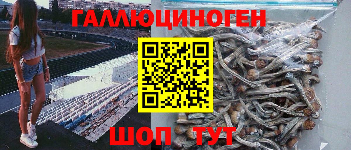 Галлюциногенные грибы Psilocybine cubensis Городец