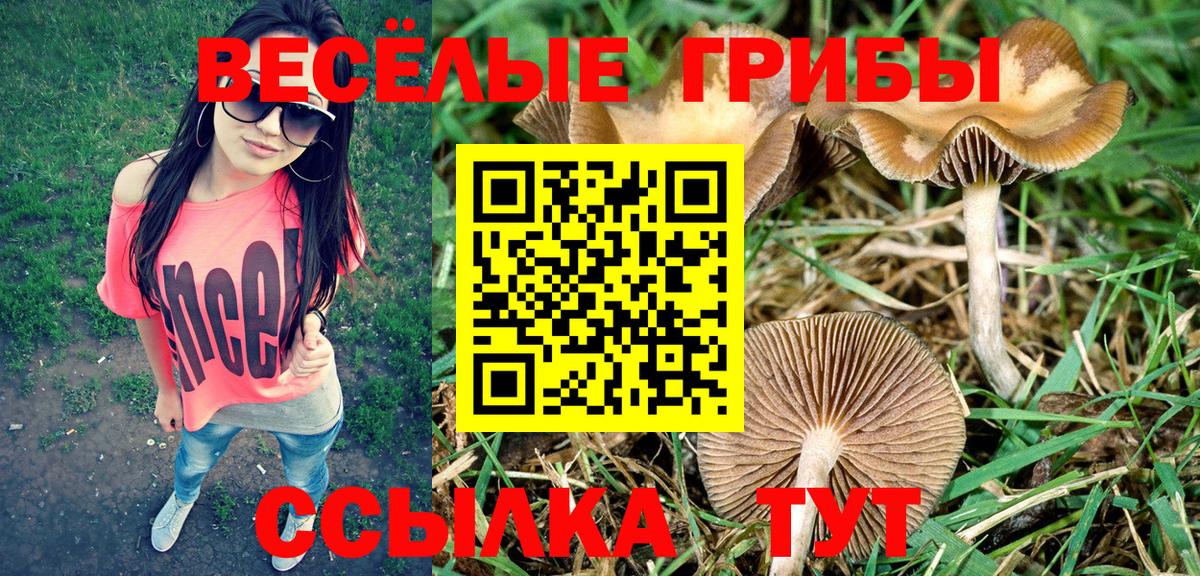 Городец  продажа наркотиков  Псилоцибиновые грибы Magic Shrooms  Вход с VPN  Галлюциногенные грибы Cubensis 